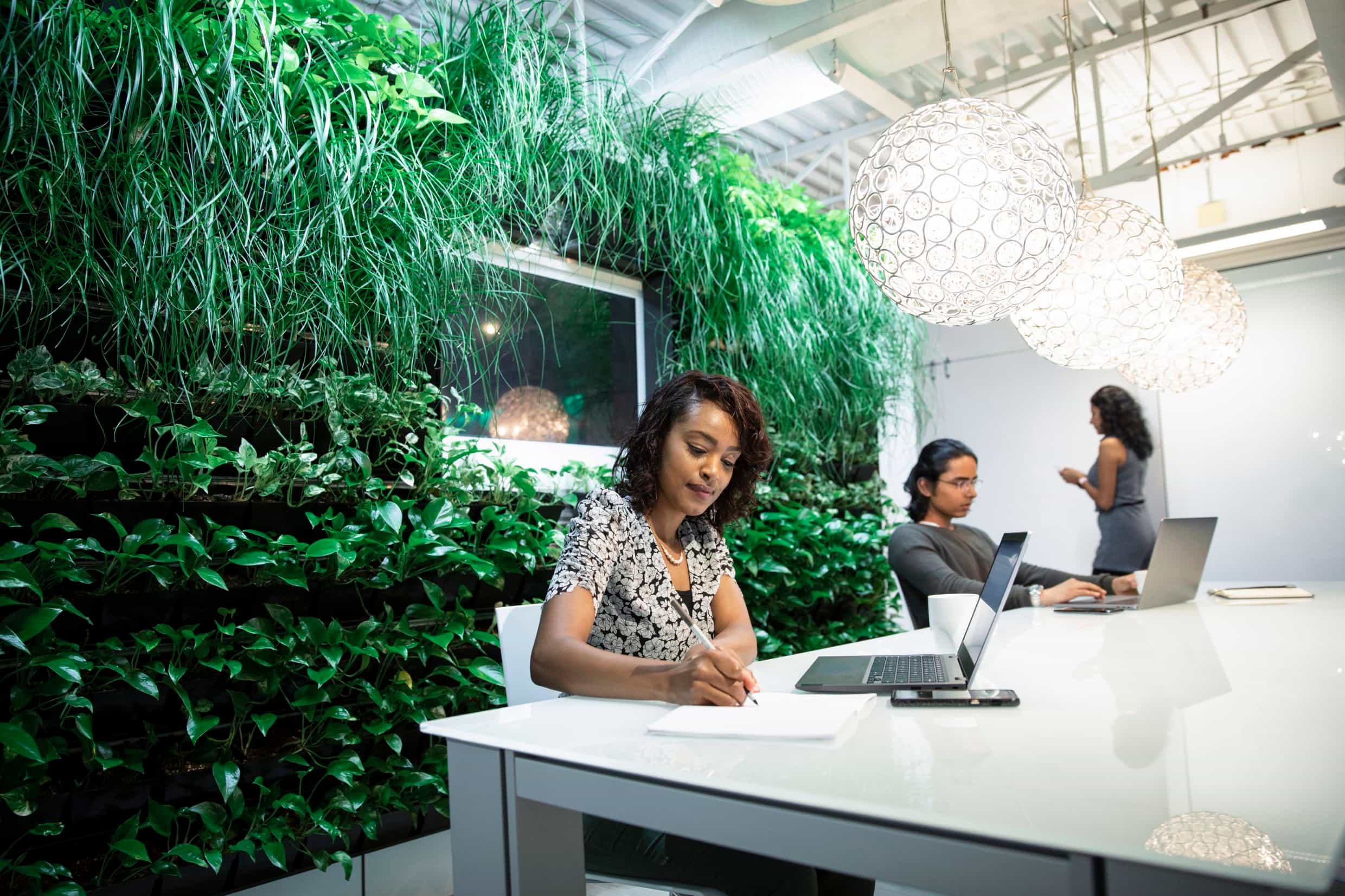 Celebrating Plants with the Breathe Living Wall: Sustainable Solutions for Healthier Spaces